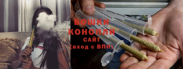 индика Баксан