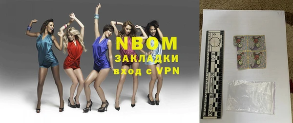 индика Баксан