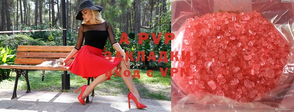 индика Баксан
